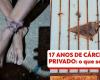 Mother and children rescued after 17 years in false imprisonment: understand what must now happen to the family | Rio de Janeiro