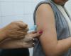 Vaccination against dengue once again focuses on the public aged 10 to 14