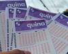 Quina: after accumulating 25 times, a single bet wins the biggest prize in the history of the game