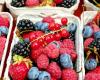 Study identifies the five healthiest fruits in the world; top 1 is sour