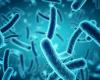 Bacteria on the ISS undergo mutation never seen on Earth