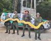 Python snake rescued from farm where there was massacre in Arapiraca is an exotic species from Asia | Alagoas
