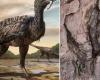 Scientists find gigantic footprints of a new type of dinosaur in China