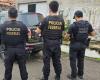 “King of Skunk”: PF arrests in DF investigated for drug trafficking