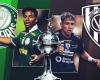 Jewel liberators: Palmeiras and Del Valle make fortunes with the base and reveal talented generations | palm trees