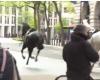 Video: Army horses run away and leave injured in London