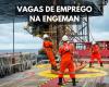 Engineering giant, Engeman announces six new job openings for professionals from Pernambuco