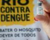 Dengue scenario in the state of Rio de Janeiro is stable