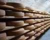 Registration for the 3rd edition of the RS Artisan Cheese Competition