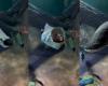 Fish yawn? Impressive record shows pirarucu in a ‘relaxing’ moment in MS aquarium; watch video | Mato Grosso do Sul