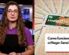 Campinas bet earns R$5.5 million in Mega-Sena | Campinas and Region