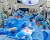 In unprecedented surgery, woman in the USA receives mechanical heart and porcine kidney | Health