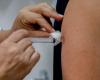 Dengue vaccine will be distributed to over 625 municipalities