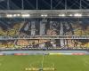 Mosaic of Botafogo fans goes viral with first human character; see details | botafogo