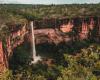 Senate wants to hear from company that won national park concession in Mato Grosso
