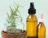 Does rosemary oil help hair grow? Check out benefits and how to use