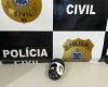 Civil Police seize clandestine camera installed on a pole in the extreme south of Bahia | Bahia
