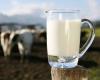 Transmission of flu through milk is a concern, warns WHO