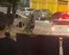 Drivers suffer assault in Cachambi | Rio de Janeiro