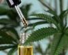 TJRN decides and health plan should pay for Cannabidiol for children with epilepsy in RN