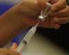 States report loss of at least 6,800 dengue vaccines this 3rd