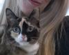 Family ‘boxes’ cat without realizing it and sends her to a warehouse 900 km away; pet goes 6 days without water and food | World