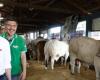 Government of Minas promotes series of actions for producers and the market at the 89th ExpoZebu