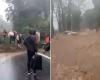 Floods wash away cars on BR 470, isolate the futsal team delegation and players return on foot along the road; see video