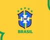 CBF postpones games in Rio Grande do Sul due to heavy rain