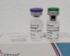 Blumenau starts vaccination against dengue on Monday (6)