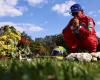 Fan visits Senna’s grave with replica jumpsuit; see more tributes | formula 1