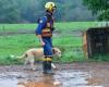Searches for gauchos missing due to excessive rain have the support of firefighters from Santa Catarina