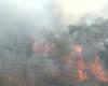 Number of fires breaks record in Brazil in the first four months of 2024 | National Newspaper