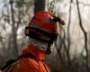 Mato Grosso is the only state in which firefighters monitor and fine irregular use of fire :: MT News