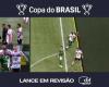 Abel is angry with the VAR offside line for a disallowed Palmeiras goal; watch the video | palm trees