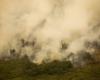 Mato Grosso records the highest number of fire outbreaks in the country for the second consecutive month :: MT News
