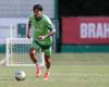 Palmeiras counts on reinforcements from spares in training after victory in the Copa do Brasil | palm trees