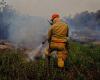 Environmental emergency is declared in MT to intensify prevention and fight against forest fires | Mato Grosso