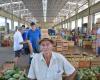 ES – Rural producer from Santa Teresa sells 60-kilo cassava in Pedra Alta