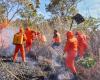 Ordinance authorizes hiring firefighters to fight forest fires in Roraima