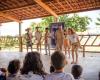 Project promotes experiences in the backlands of Pernambuco