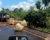 Accident between trucks leaves dead and injured on BR-226 | Tocantins