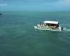 ‘Brazilian Caribbean’: blue sea with warm, crystal clear water attracts tourists to Maragogi | This is Alagoas