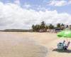 Alagoas has 17 stretches unsuitable for swimming, says IMA