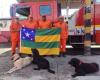 Sergipe firefighters ready to help the people of Rio Grande do Sul