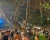 Fans stay up to 10 hours in trees for Madonna’s concert and celebrate: ‘I could see everything!’ | Madonna in Rio
