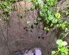 CBMCE rescues donkey trapped in well in the municipality of Chorozinho