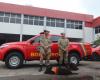 Pernambuco sends a team and sniffer dogs to help Rio Grande do Sul this week