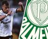 Does Palmeiras have a meeting for Luciano Rodriguez, from Liverpool-URU?