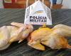 Former employee is arrested after stealing two chickens from a place where he worked and storing plucked birds in MG | South of Minas